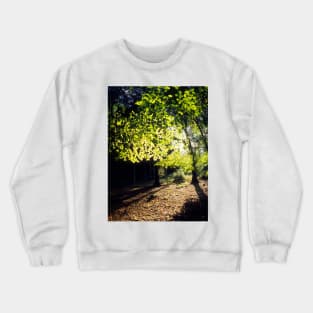 Spring Trees Crewneck Sweatshirt